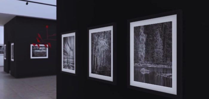 Popular Types of Exhibitions You Can Introduce